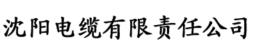 u罗汉电缆厂logo